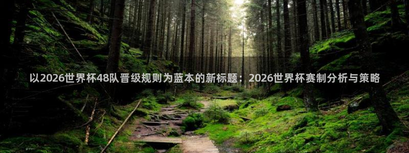 2026世界杯赛程表完整版：以2026世界杯48队晋级规则为蓝本的新标题：2026世界杯赛制分析与策略