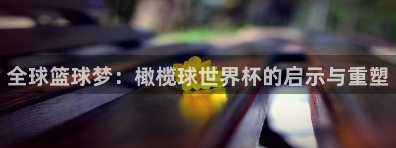 2026年世界杯对阵图：全球篮球梦：橄榄球世界杯的启示与重塑