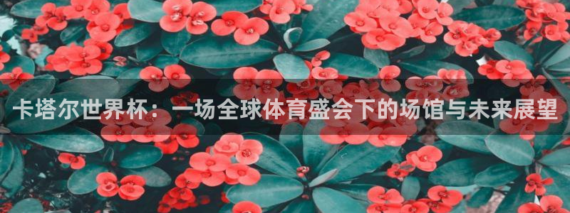2026世界杯官网：卡塔尔世界杯：一场全球体育盛会下的场馆与未来展望