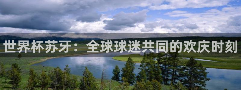 世界杯2026赛制：世界杯苏牙：全球球迷共同的欢庆时刻