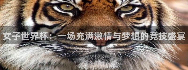 世界杯2026赛程：女子世界杯：一场充满激情与梦想的竞技盛宴