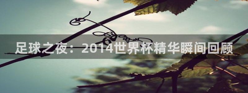 2026世界杯预选赛：足球之夜：2014世界杯精华瞬间回顾