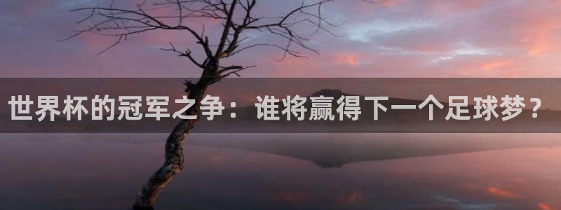 世界杯预选赛亚洲区积分榜：世界杯的冠军之争：谁将赢得下一个足球梦？