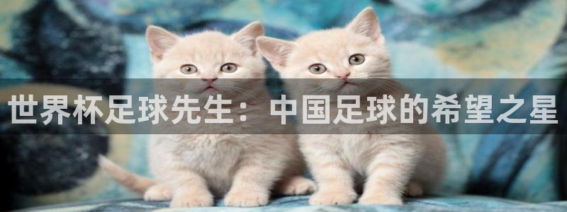 足球世界杯：世界杯足球先生：中国足球的希望之星