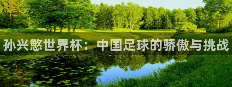 世界杯第一场比赛：孙兴慜世界杯：中国足球的骄傲与挑战