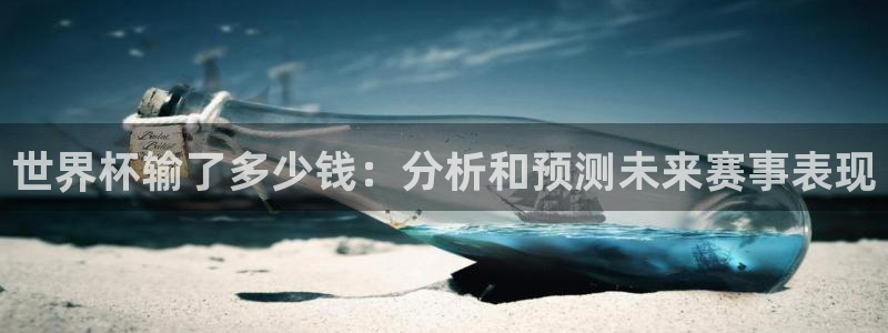 世界杯附加赛赛程表：世界杯输了多少钱：分析和预测未来赛事表现