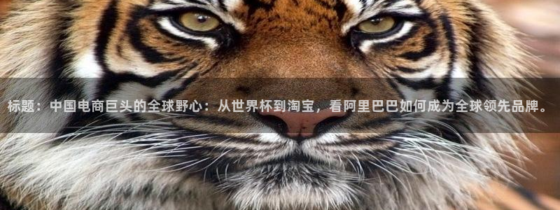 2026世界杯赛程：标题：中国电商巨头的全球野心：从世界杯到淘宝，看阿里巴巴如何成为全球领先品牌。